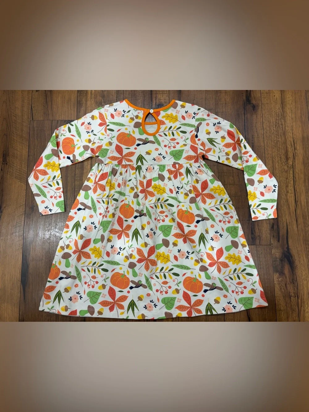 Lilly and Sid Autumn Fall Dress & Leggings Set NWOT Mushroom Pumpkin Acorn Birds